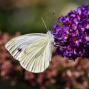 광주스마일행정사사무소 이미지