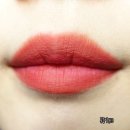 안묻어나는 틴트!? 미샤 데어틴트 매트타투 라라바 라이블리 발색