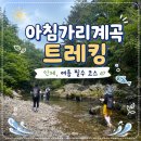 원봉암마을회관 | [여름 등산] 인제 아침가리계곡 트레킹 | 준비물, 코스, 주차꿀팁, 난이도