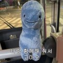 모모정 이미지