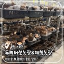 두리농장 | 수도권 인천 아이와 가기좋은 유아체험, 식재료 버섯과 친숙해지는 두리버섯농원 체험 후기