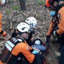 인천미추홀소방서 이미지