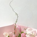 로즈팜 | 용산역꽃집 러블리하게 핑크꽃다발 장만한 후기! 로즈팜