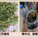 로즈마리세탁소 이미지