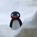 강원대학교 기숙사 이미지