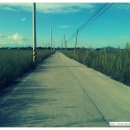 만경강길 2코스 이미지