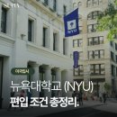 포인트컨설팅