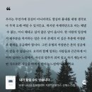 [독서] 내가 틀릴 수도 있습니다(비욘 나티코 린데 블라드) 후기