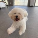 서초대로58길 36 | 하울팟 서초점 | 소심한 아이에게 '행복한 일상'을 선물해준 공간