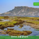 썬라이즈호텔 섭지코지점 | 제주 여행 필수 숙소 | 썬라이즈 호텔 섭지코지 후기