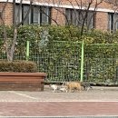 안산고속주유소 이미지