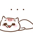 나루동물병원 이미지