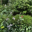 물맑은집 이미지