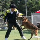 화성이삭 이미지