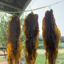 강릉원예사 이미지