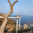 조례주공공인중개사사무소 | 전문성이 돋보이는 조례주상복합 부동산 중개 서비스의 새로운 패러다임