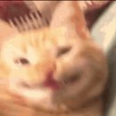 더네일샵(The nail) 이미지