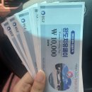 완도LOWA | 완도 여행 | 로와펜션, 더진품, 당인리포레스트, 완도치유페스타