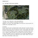 -동래정씨 정사(鄭賜)의 묘 이미지