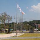 금메달체육관 이미지