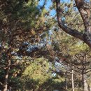 배곧서울안과의원 이미지