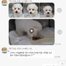 쥬만지동물의료센터