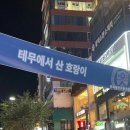9월 3주차~ 10월 2주차 일상