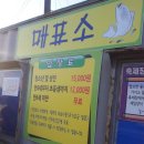 파주 송어 축제 후기