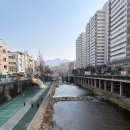 모퉁이 | 신림 모퉁이빵집 후기｜소금빵은 품절, 딸기타르트 대만족!