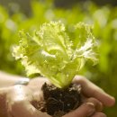 마음엔뜰 이미지