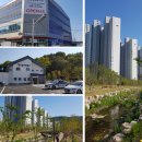 파리바게뜨율하푸르지오 | 경남 김해율하 임장 후기 2 (4월)