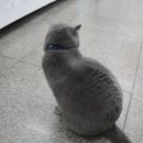 GS25송파센타 이미지