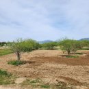 낙동강관리본부 대저생태공원 3 이미지