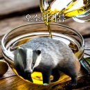 자연은동물병원 | 오소리기름 효능 – 자연이 주는 만병통치약?