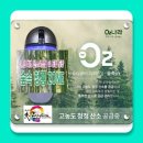 세교 태권도장 이미지