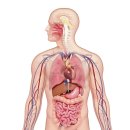 쾌속한의원 이미지