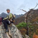 형제봉길 이미지