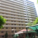 한숲온누리약국 이미지