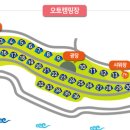 오토24