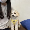 R.M COFFEE(알엠커피) 이미지