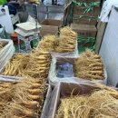 금산수삼센터 | 금산인삼시장 여행코스 수삼구매와 약재상. 추천