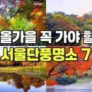 ggg올가을에 꼭 가봐야 할 서울단풍명소 BEST 7(10월초~11월중순) 이미지