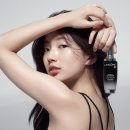 수지 서울신문