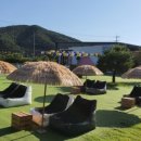 썸레스트 이미지