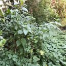 골몰농장 이미지