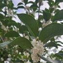 욱수초등학교 이미지