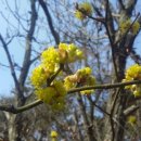 제2금강산 등산로입구 이미지