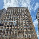 월드아시아마트주덕 | 홍콩출장후기-2일차(야우마테이 재래시장, 한인홍 한인마트, Asia Fruit Logistica)