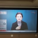 우미스크린