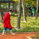 장안근린공원 뉴시스